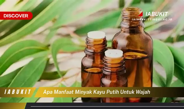 apa manfaat minyak kayu putih untuk wajah