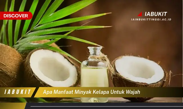 apa manfaat minyak kelapa untuk wajah