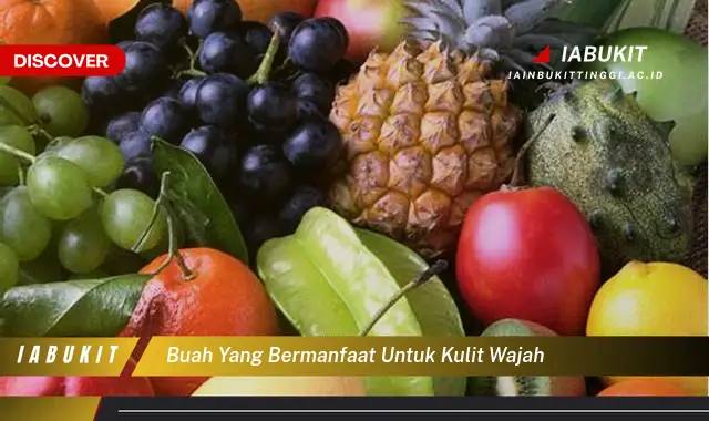 buah yang bermanfaat untuk kulit wajah