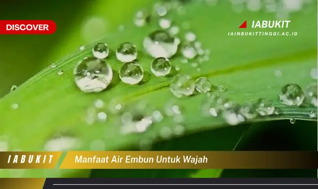 manfaat air embun untuk wajah