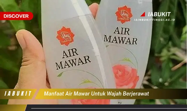 manfaat air mawar untuk wajah berjerawat