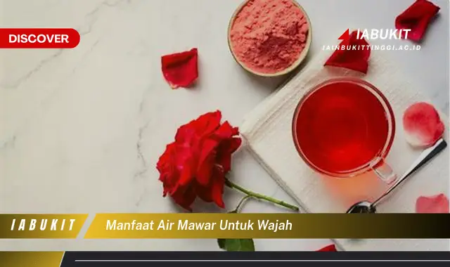 manfaat air mawar untuk wajah