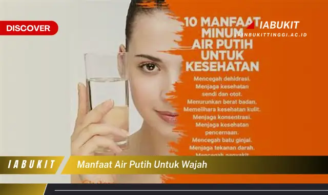 manfaat air putih untuk wajah