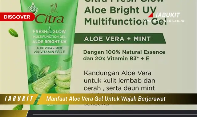 manfaat aloe vera gel untuk wajah berjerawat