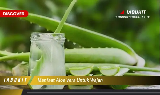 manfaat aloe vera untuk wajah