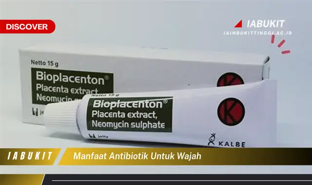 manfaat antibiotik untuk wajah