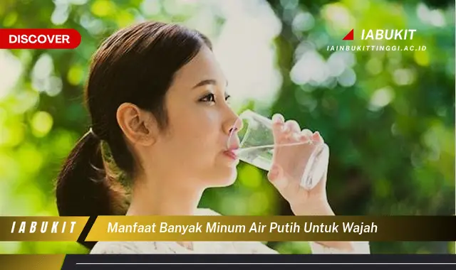 manfaat banyak minum air putih untuk wajah