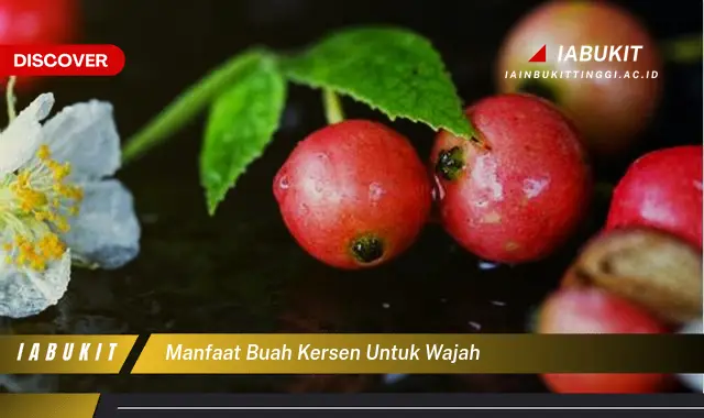 manfaat buah kersen untuk wajah