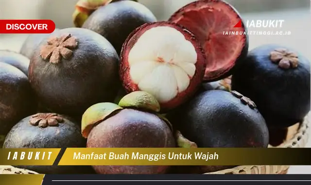 manfaat buah manggis untuk wajah