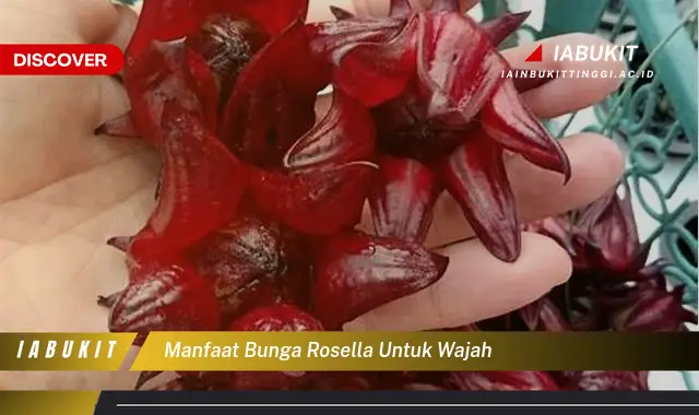 manfaat bunga rosella untuk wajah