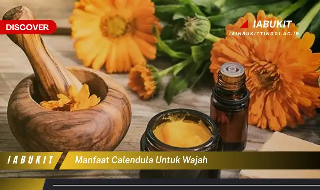 manfaat calendula untuk wajah