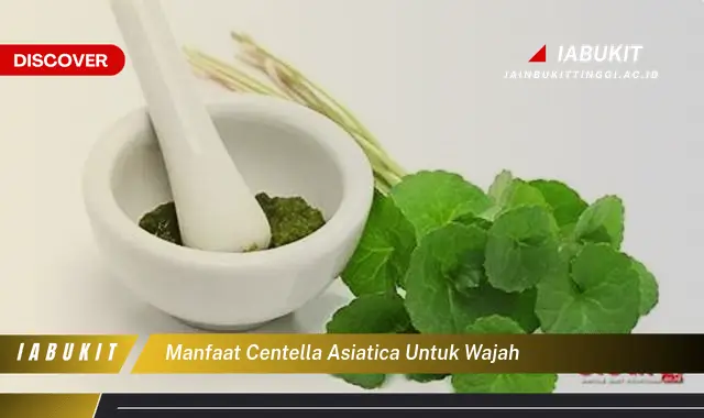 manfaat centella asiatica untuk wajah