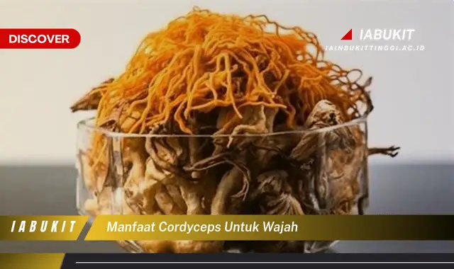 manfaat cordyceps untuk wajah