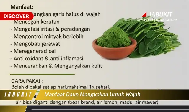 manfaat daun mangkokan untuk wajah