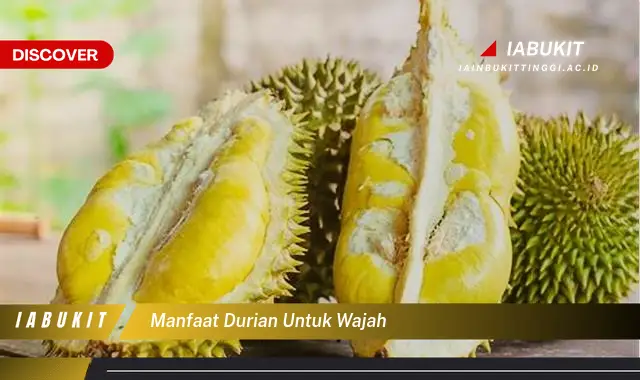 manfaat durian untuk wajah