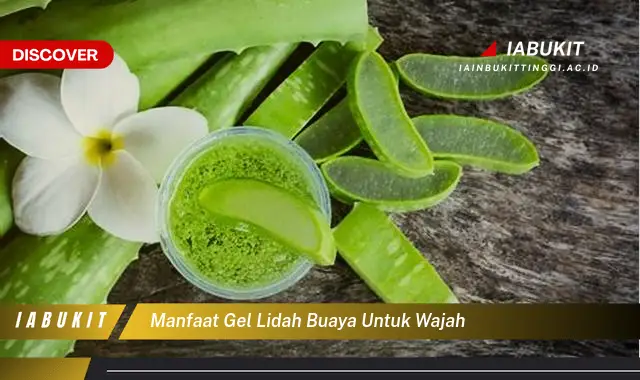 manfaat gel lidah buaya untuk wajah