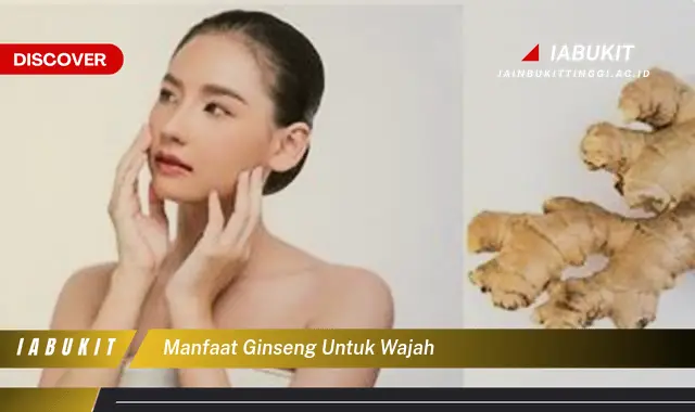 manfaat ginseng untuk wajah