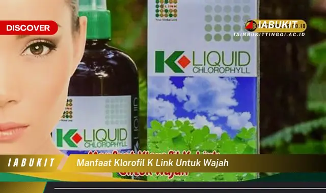 manfaat klorofil k link untuk wajah manfaat klorofil k link untuk wajah