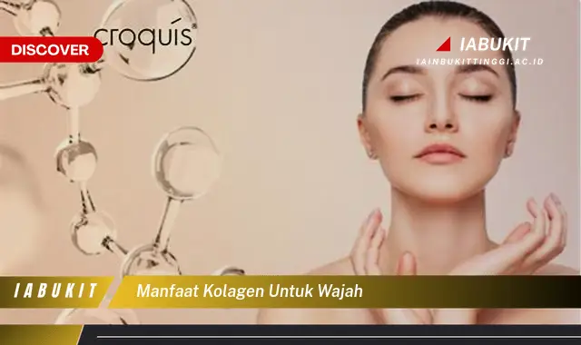 manfaat kolagen untuk wajah manfaat kolagen untuk wajah