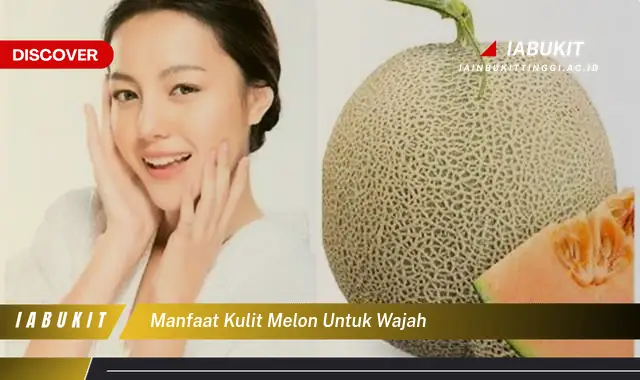 manfaat kulit melon untuk wajah