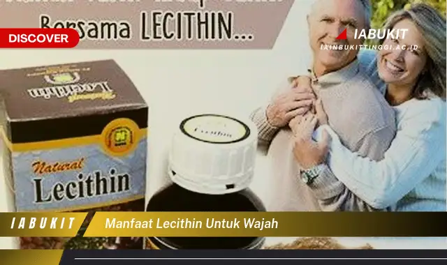 manfaat lecithin untuk wajah