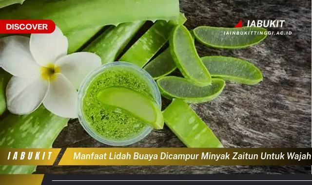 manfaat lidah buaya dicampur minyak zaitun untuk wajah