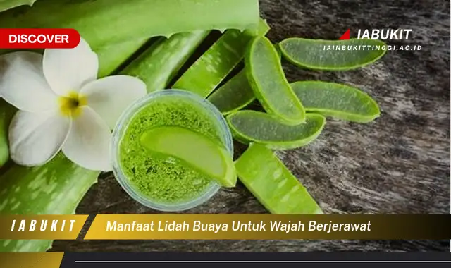 manfaat lidah buaya untuk wajah berjerawat