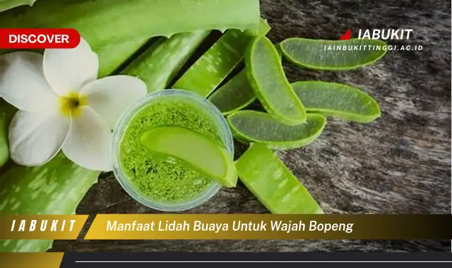 manfaat lidah buaya untuk wajah bopeng