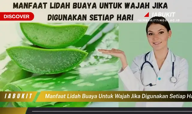 manfaat lidah buaya untuk wajah jika digunakan setiap hari