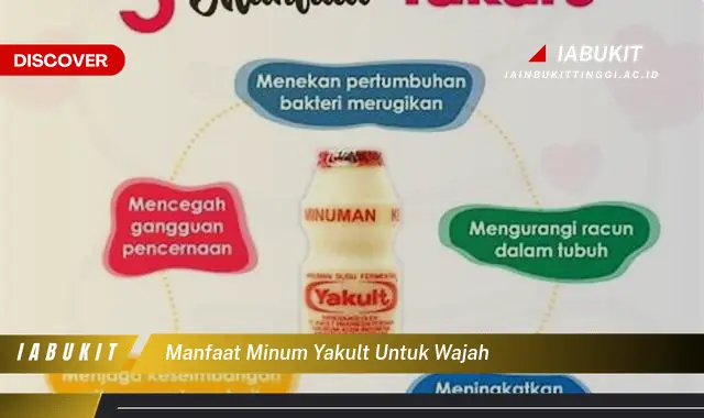 manfaat minum yakult untuk wajah