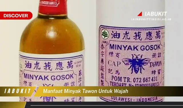 manfaat minyak tawon untuk wajah