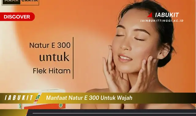 manfaat natur e 300 untuk wajah