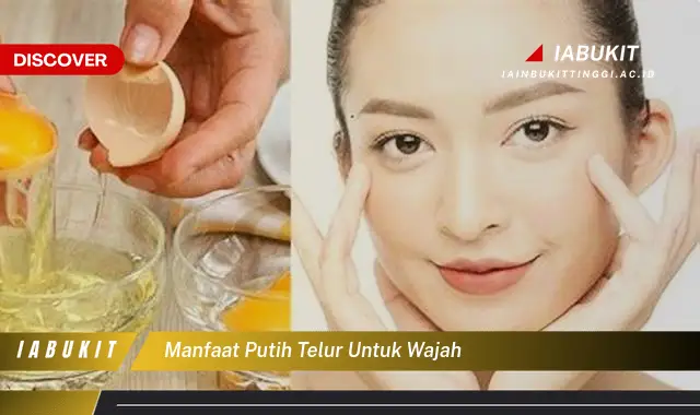 manfaat putih telur untuk wajah