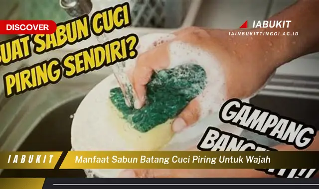 manfaat sabun batang cuci piring untuk wajah