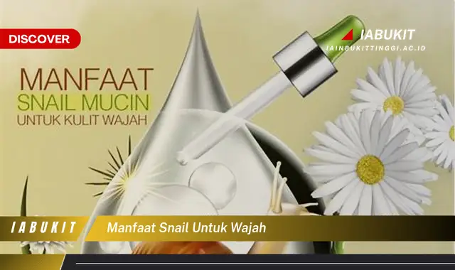 manfaat snail untuk wajah