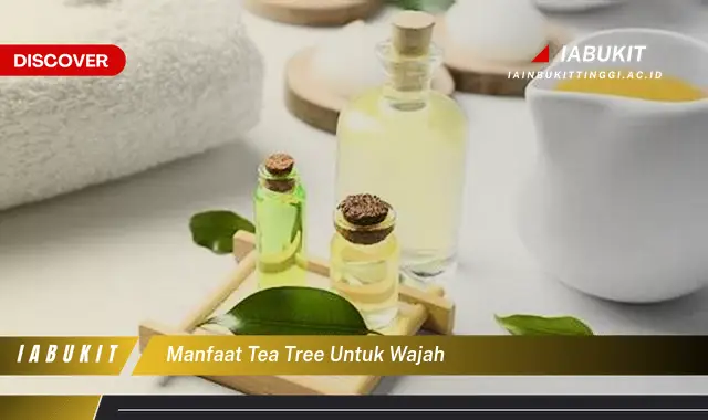 manfaat tea tree untuk wajah