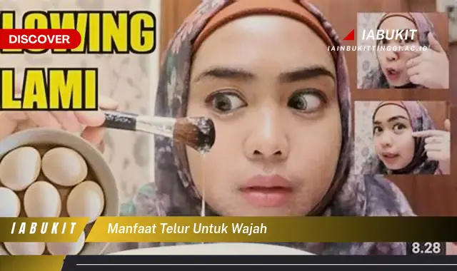 manfaat telur untuk wajah