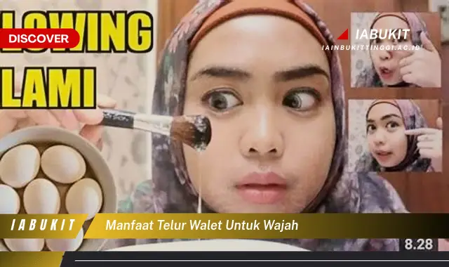 manfaat telur walet untuk wajah