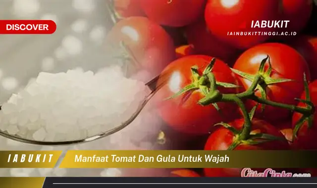 manfaat tomat dan gula untuk wajah