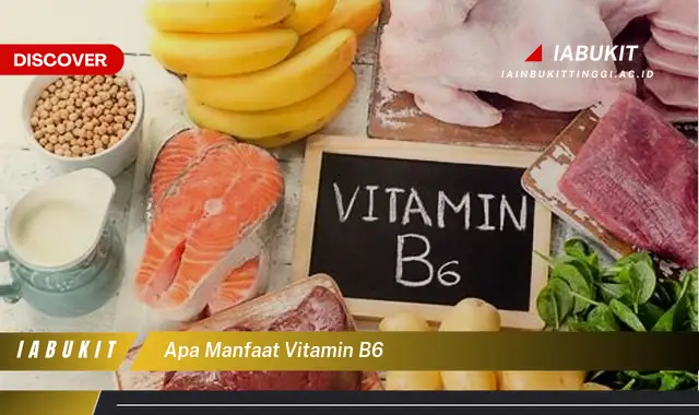 apa manfaat vitamin b6