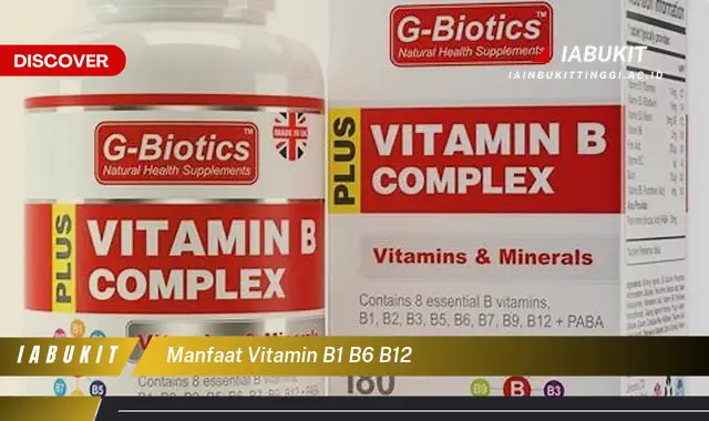 manfaat vitamin b1 b6 b12 manfaat vitamin b1 b6 b12