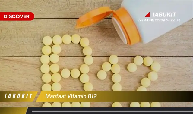 manfaat vitamin b12