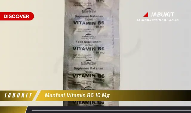 manfaat vitamin b6 10 mg