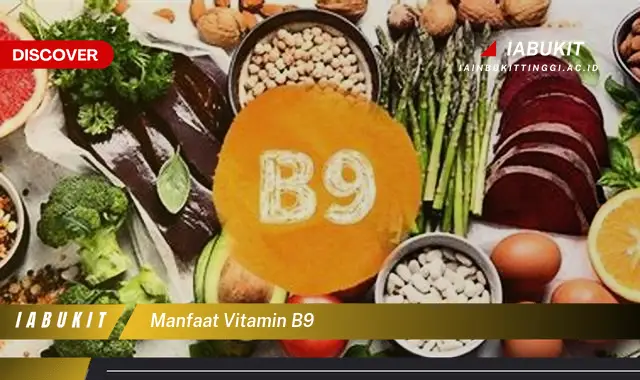 Banyak yang Belum Tahu, Inilah 20 Manfaat Vitamin B9 yang Wajib Diintip - E-Jurnal