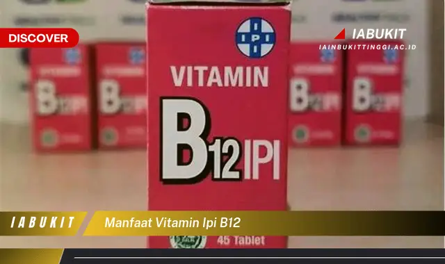 manfaat vitamin ipi b12 manfaat vitamin ipi b12