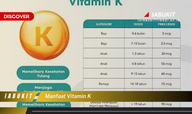 manfaat vitamin k