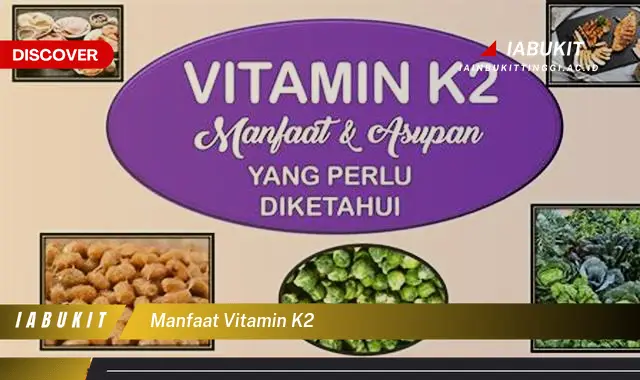 Jarang Diketahui, Inilah 20 Manfaat Vitamin K2 yang Bikin Penasaran - E-Jurnal