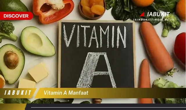 Jarang Diketahui, Inilah 20 Manfaat Vitamin A yang Wajib Diketahui - E-Jurnal