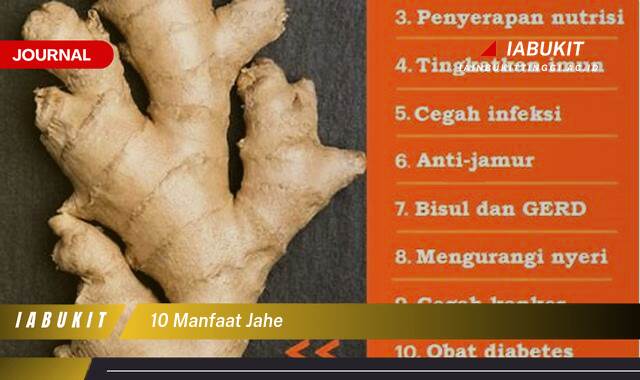 Inilah 10 Manfaat Jahe untuk Kesehatan, Kecantikan, dan Masakan Anda