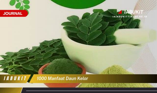 Inilah 1000 Manfaat Daun Kelor untuk Kesehatan, Kecantikan, dan Lainnya